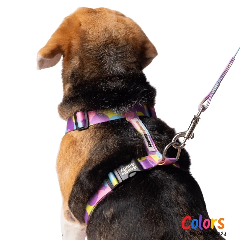 Arnés "Tipo H" Ref. LUNA - BeagleBuddy