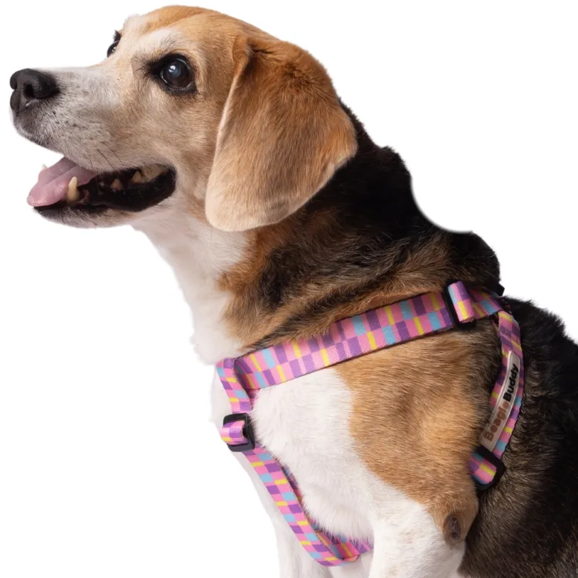Arnés "Tipo Y" Ref. CANDY - BeagleBuddy