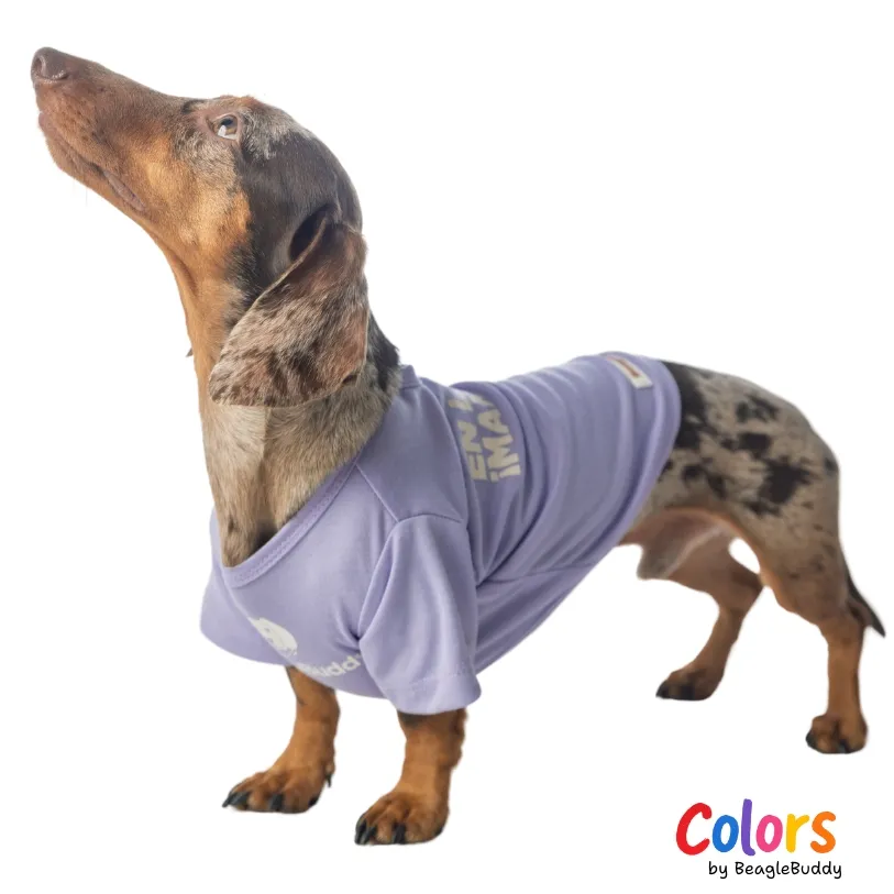 Camiseta Lila MANDO YO - BeagleBuddy