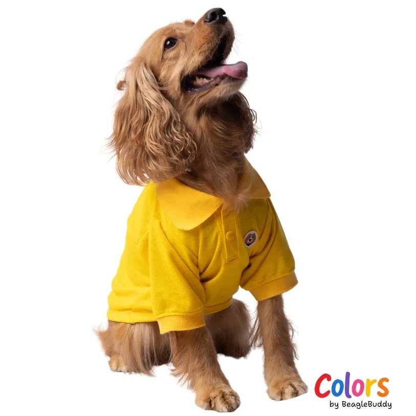 Camiseta Polo Amarilla - BeagleBuddy