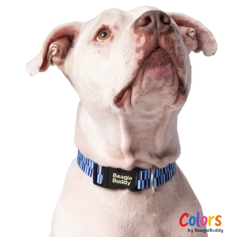 Collar en reata Ref. BRISA - BeagleBuddy