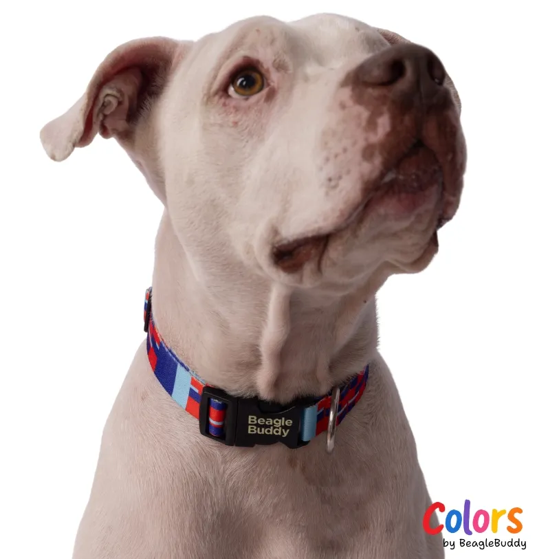 Collar en reata Ref. CHISPA - BeagleBuddy