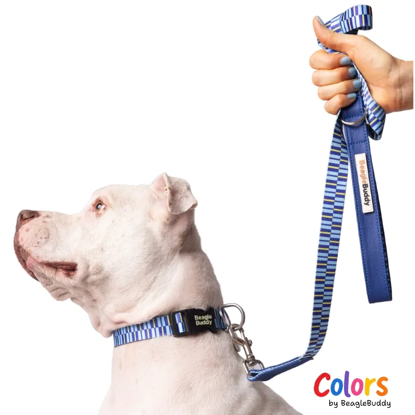 Correa en cuero vegano y reata Ref. BRISA - BeagleBuddy