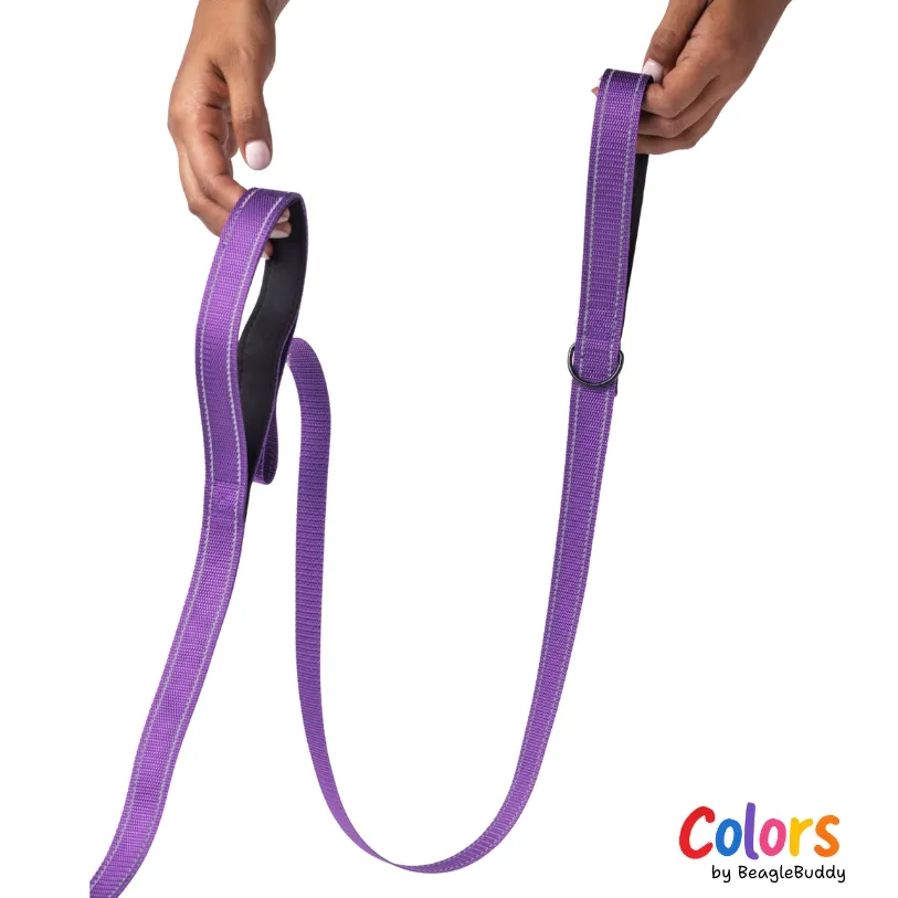 Correa REFLECTIVA Morada - BeagleBuddy