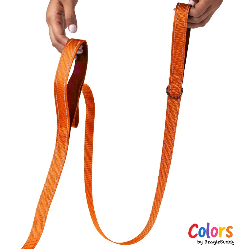 Correa REFLECTIVA Naranja - BeagleBuddy