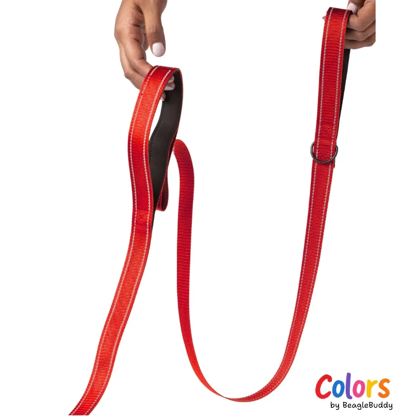 Correa REFLECTIVA Roja - BeagleBuddy