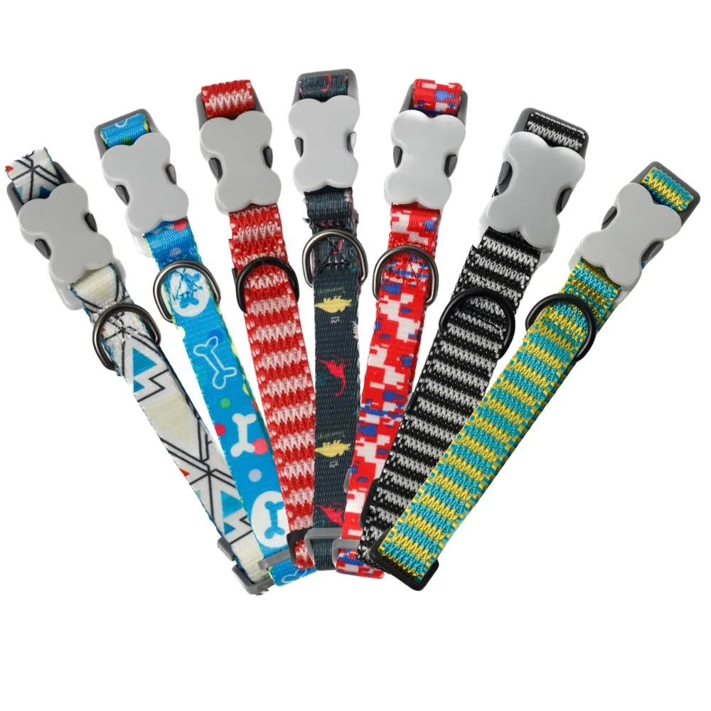 Dog Collar - BeagleBuddy