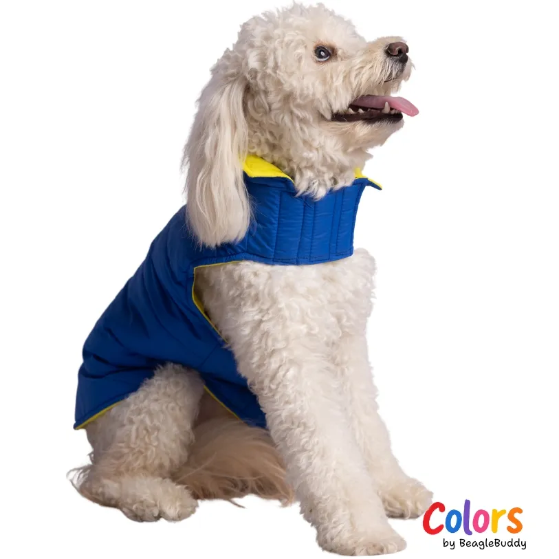 Dog Raincoat - BeagleBuddy