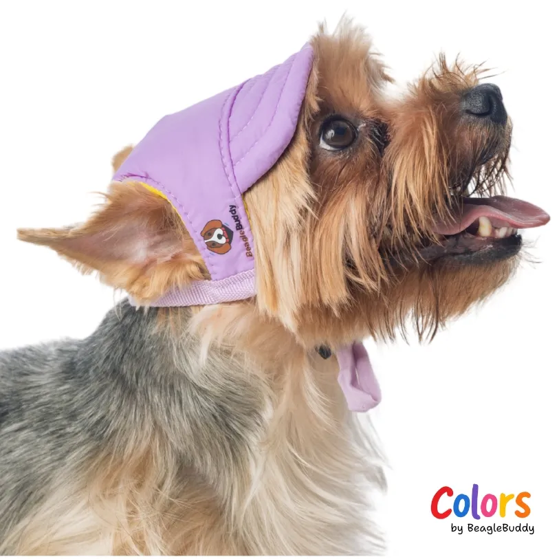 Gorra Lila - BeagleBuddy