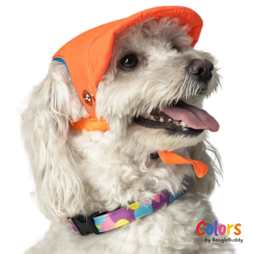 Gorra Naranja - BeagleBuddy