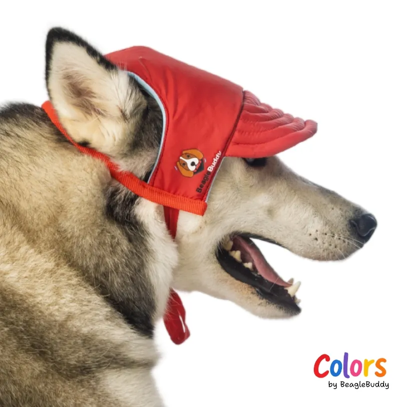 Gorra Roja - BeagleBuddy