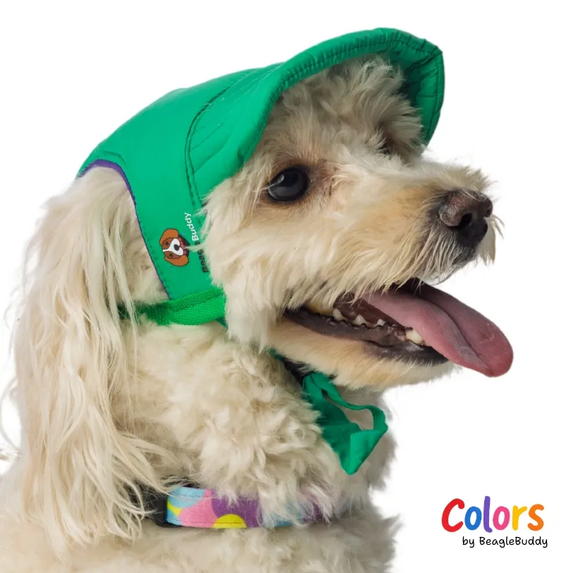 Gorra Verde - BeagleBuddy
