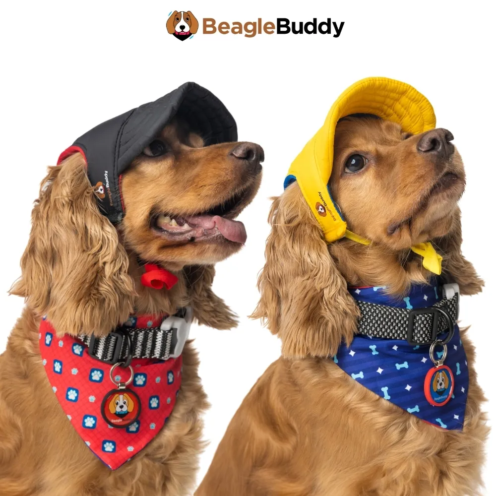 Reversible Dog Bandana - BeagleBuddy