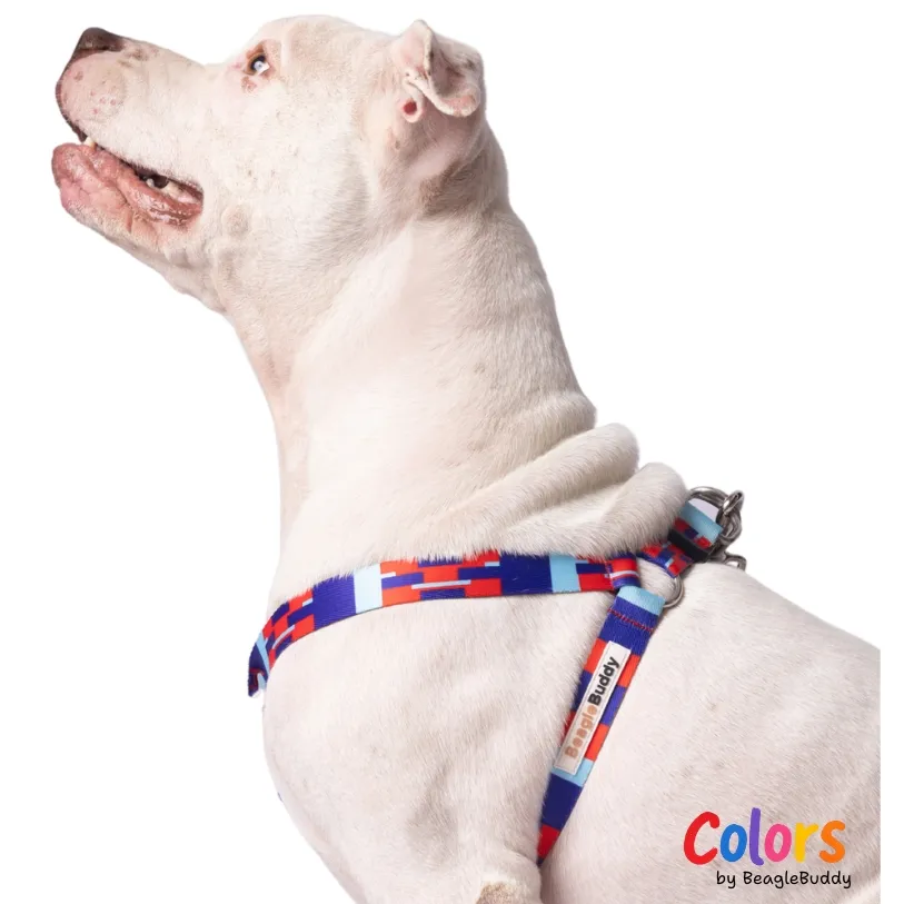 Y-Style Dog Harness - BeagleBuddy